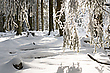 Winter im Rothaargebirge