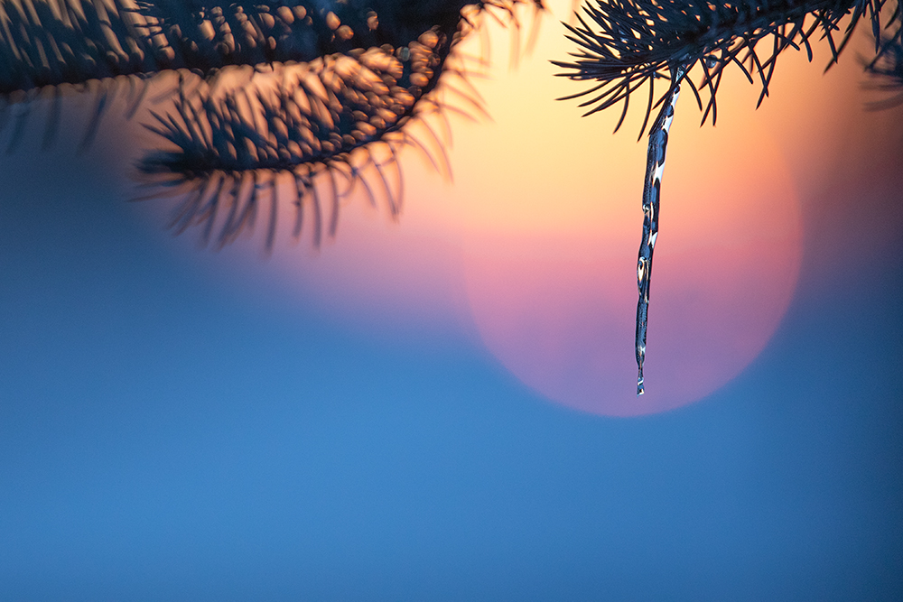 das schöne Winterlicht