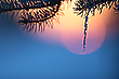 das schöne Winterlicht