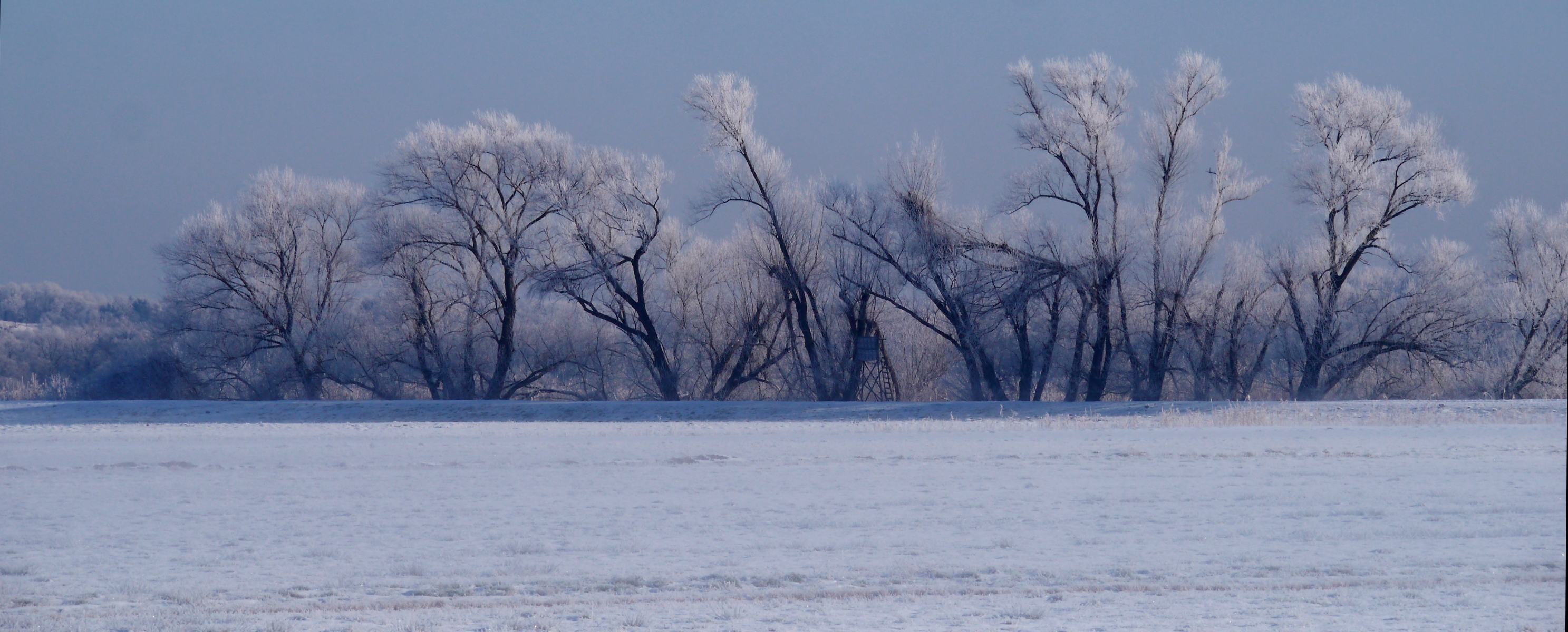 Deich - Landschaft