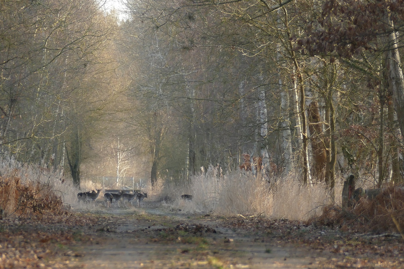 in weiter Entfernung