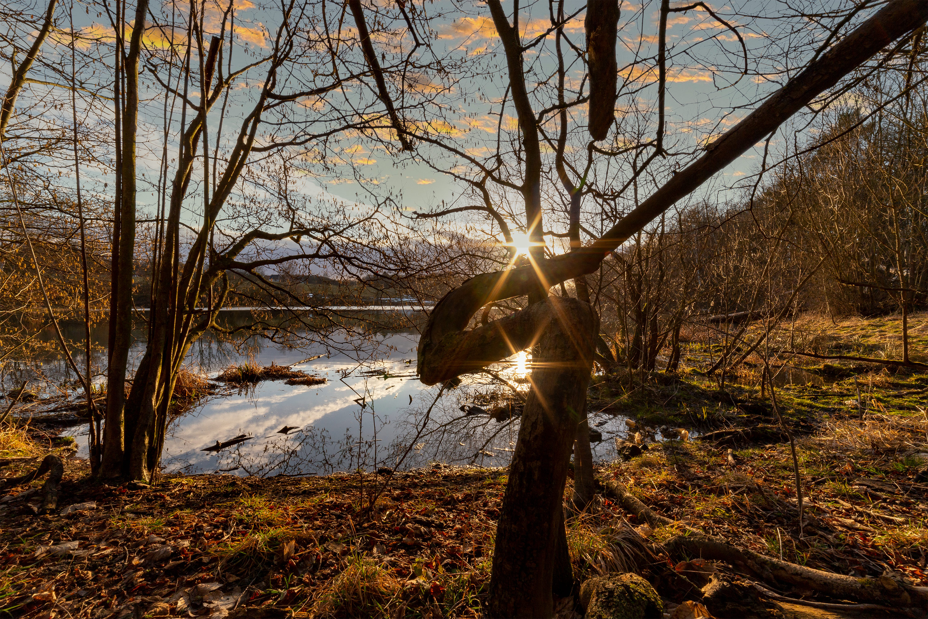 Sonnenuntergang am Judenteich bei Harzgerode