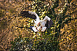 Frühlingsgefühle