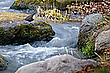 Im Revier der Wasseramsel