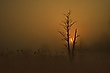 Sonnenaufgang