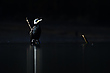 Spotlight on