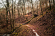 Der Weg hinab zum Fluss