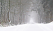_______Winter__________