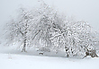 Mal wieder Winter