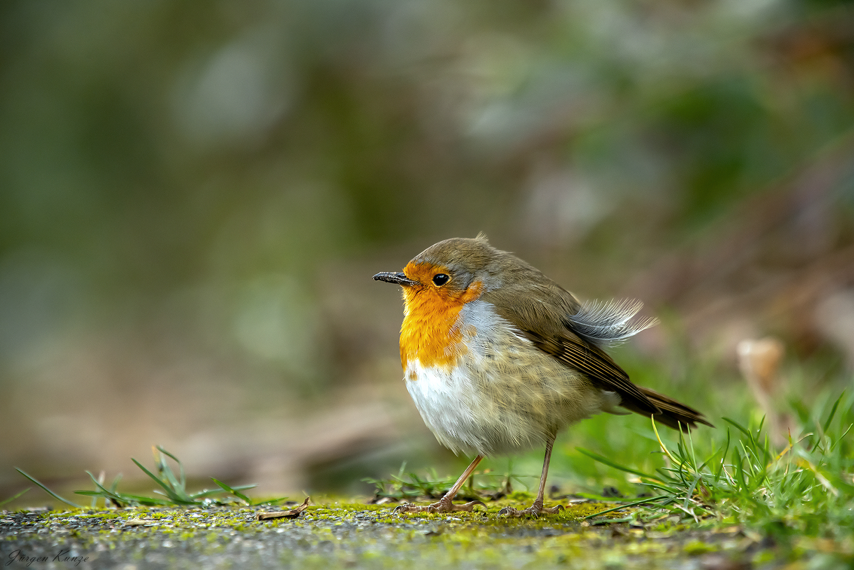 Besuch an der Firmentür