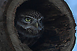 Der Blick in die Nacht