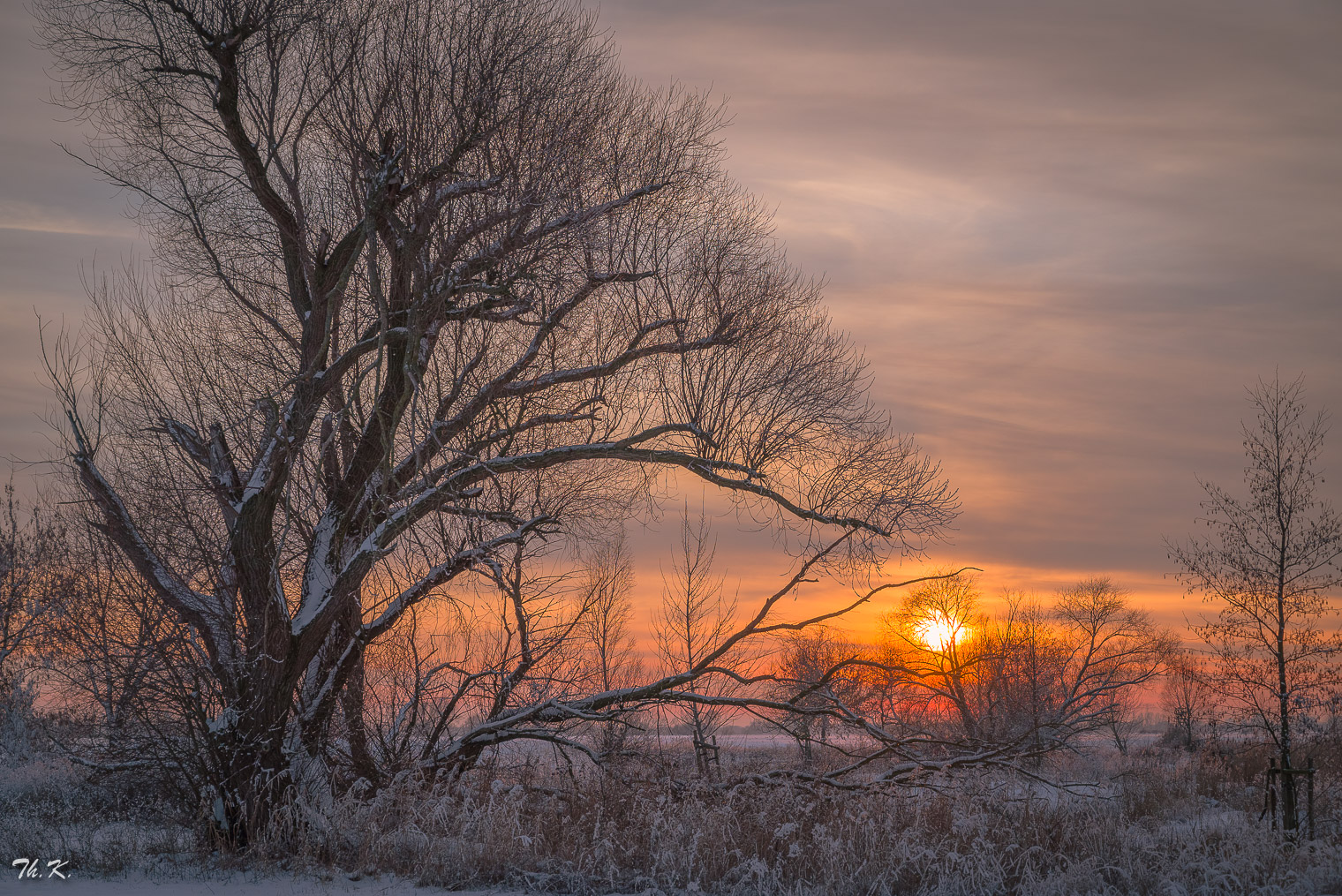 Wintersonne ....