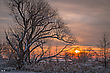 Wintersonne ....