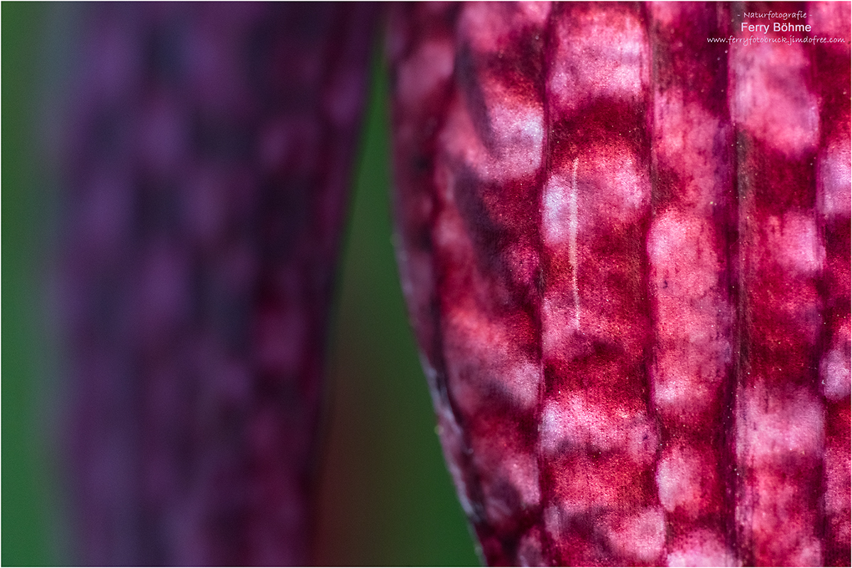 Detail ...
