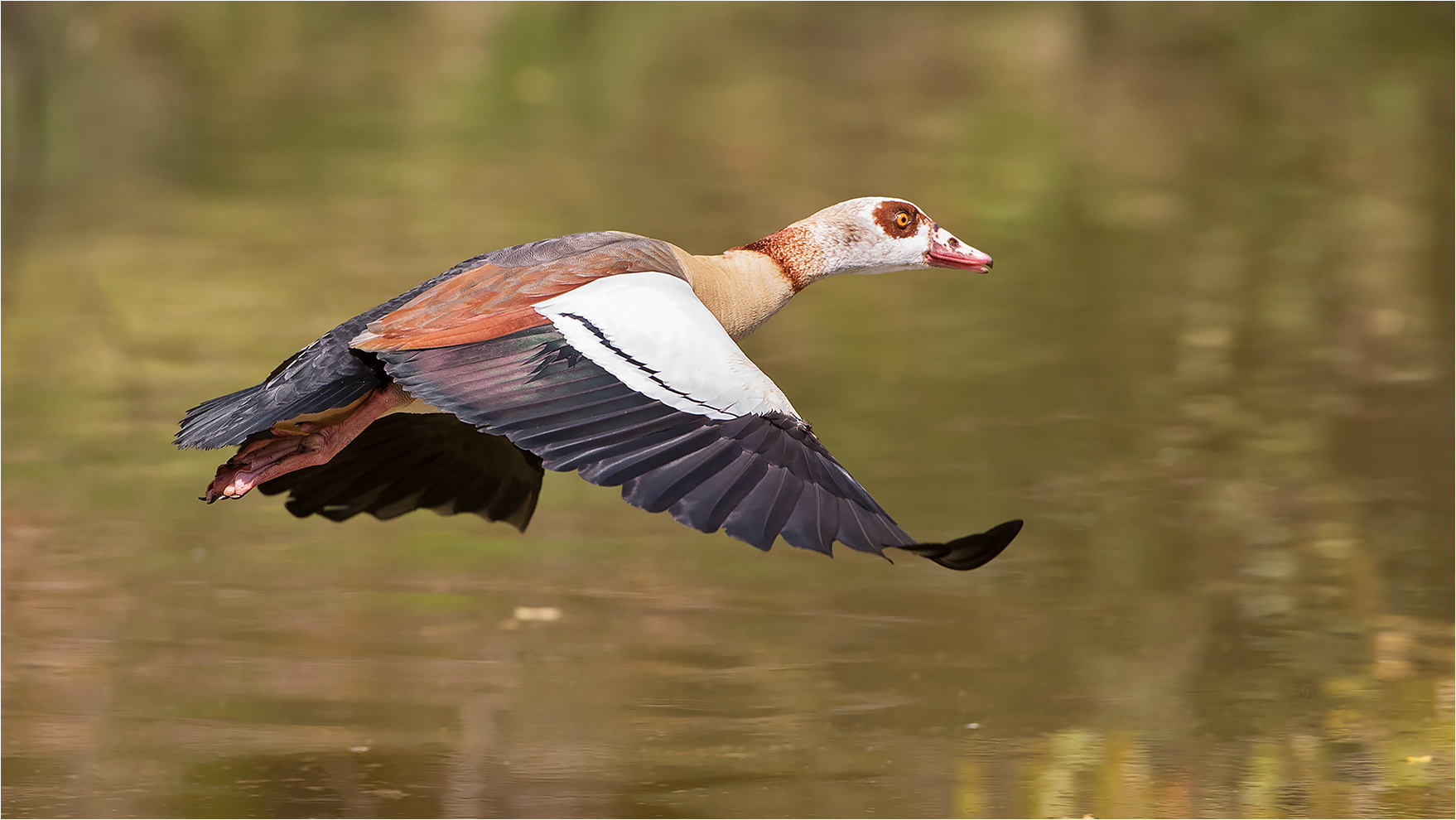 „Im Abflug; VII“