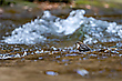 Im Wildwasser