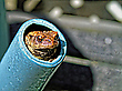 Kröte