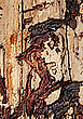 Hallimasch-Wesen