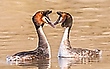 wahre LIEBE!