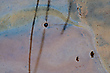 Das Auge