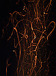 Osterfeuer