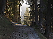 Weg ins Licht