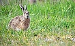 Frohe Ostern 2021