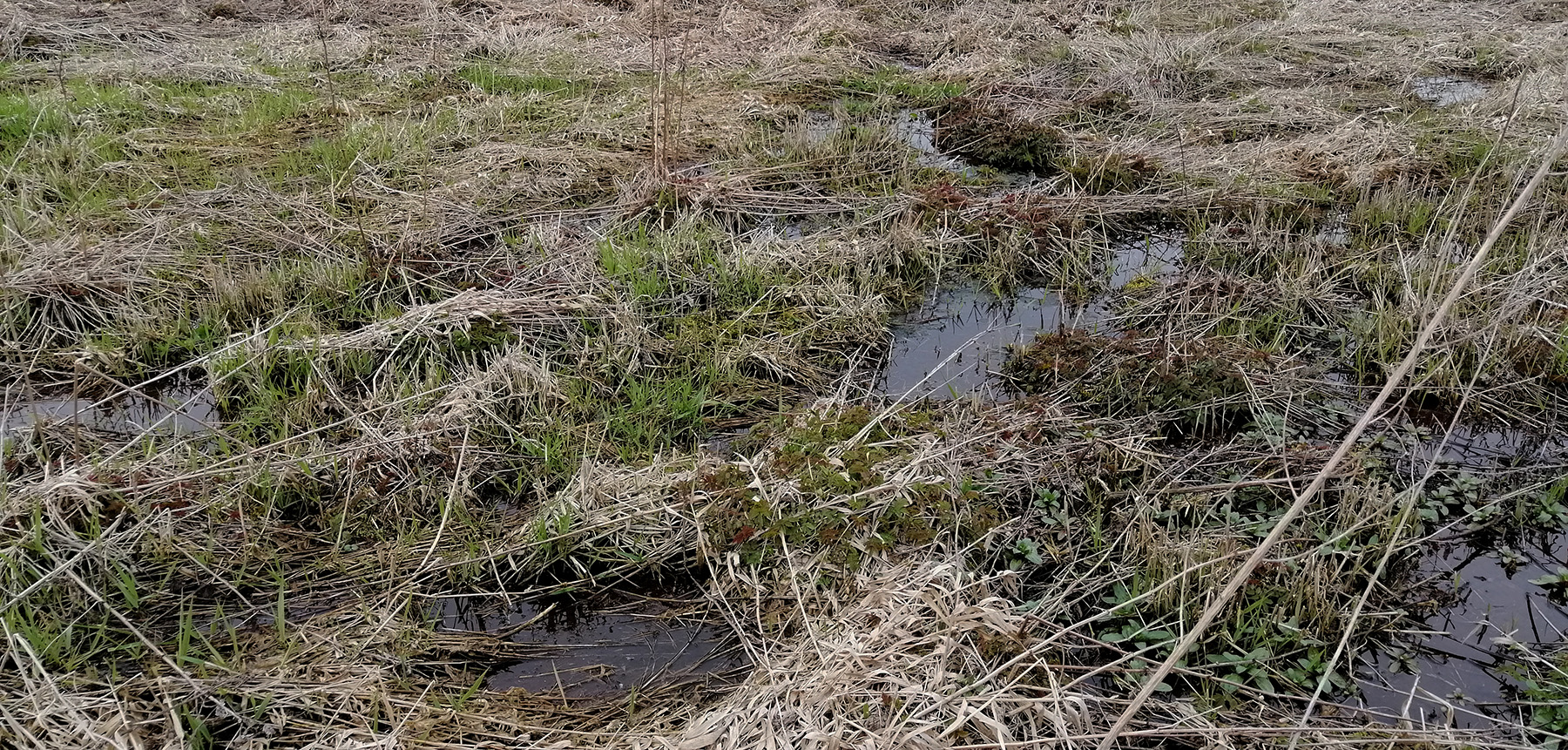 Suchbild