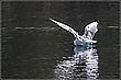 ... der Abflug ...