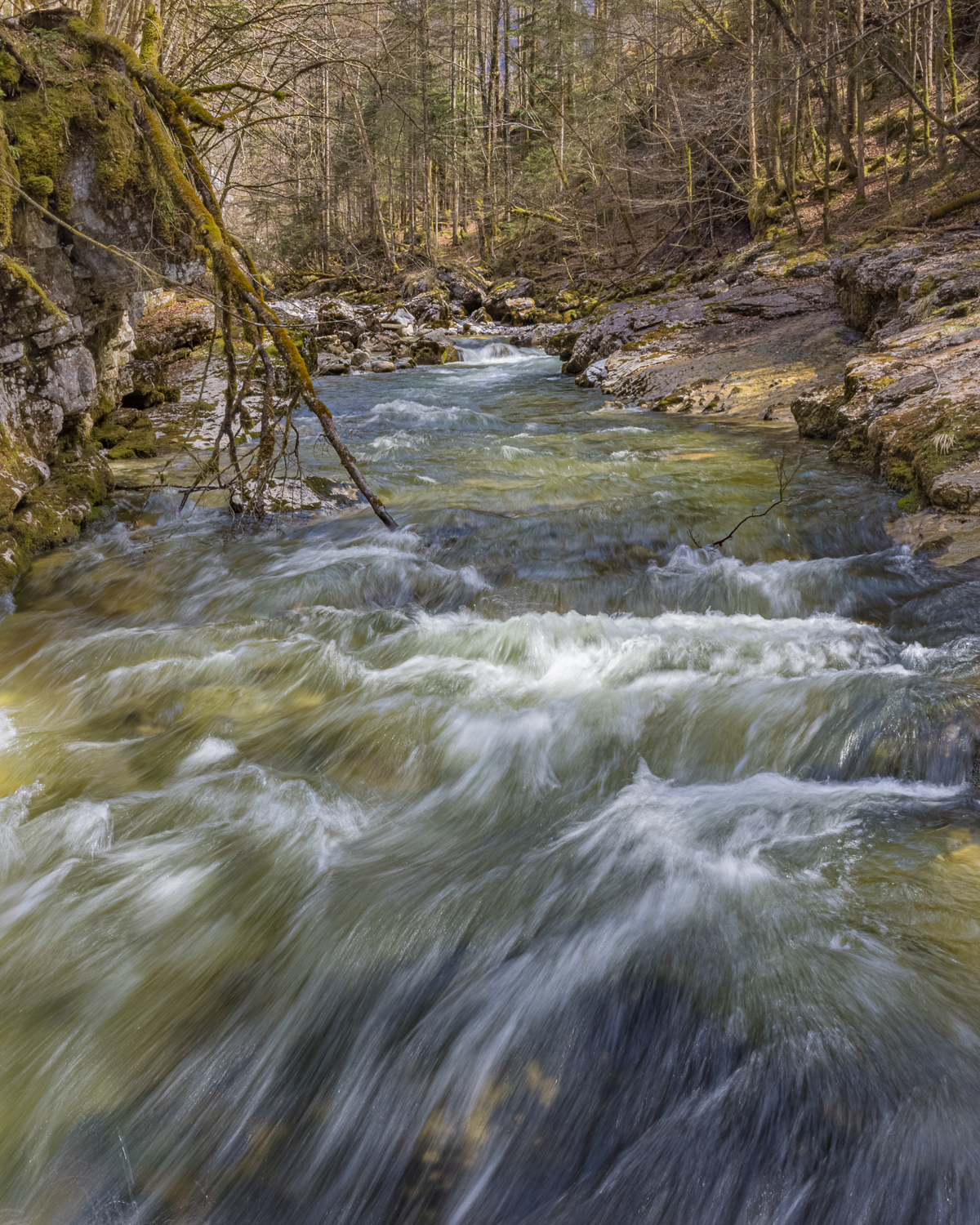 Der Wildbach