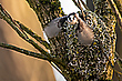 Abflug