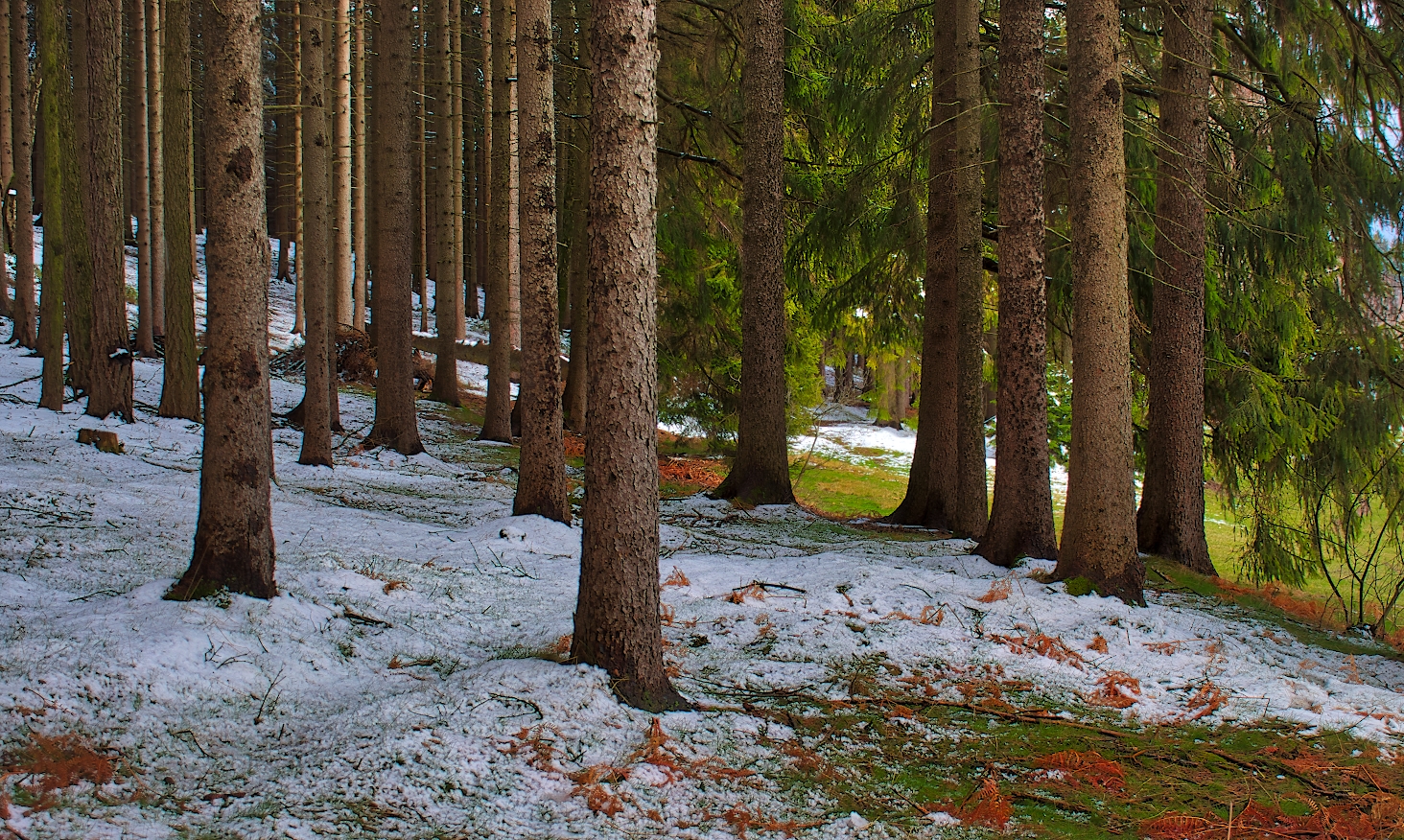 zwischen Winter und Frühling