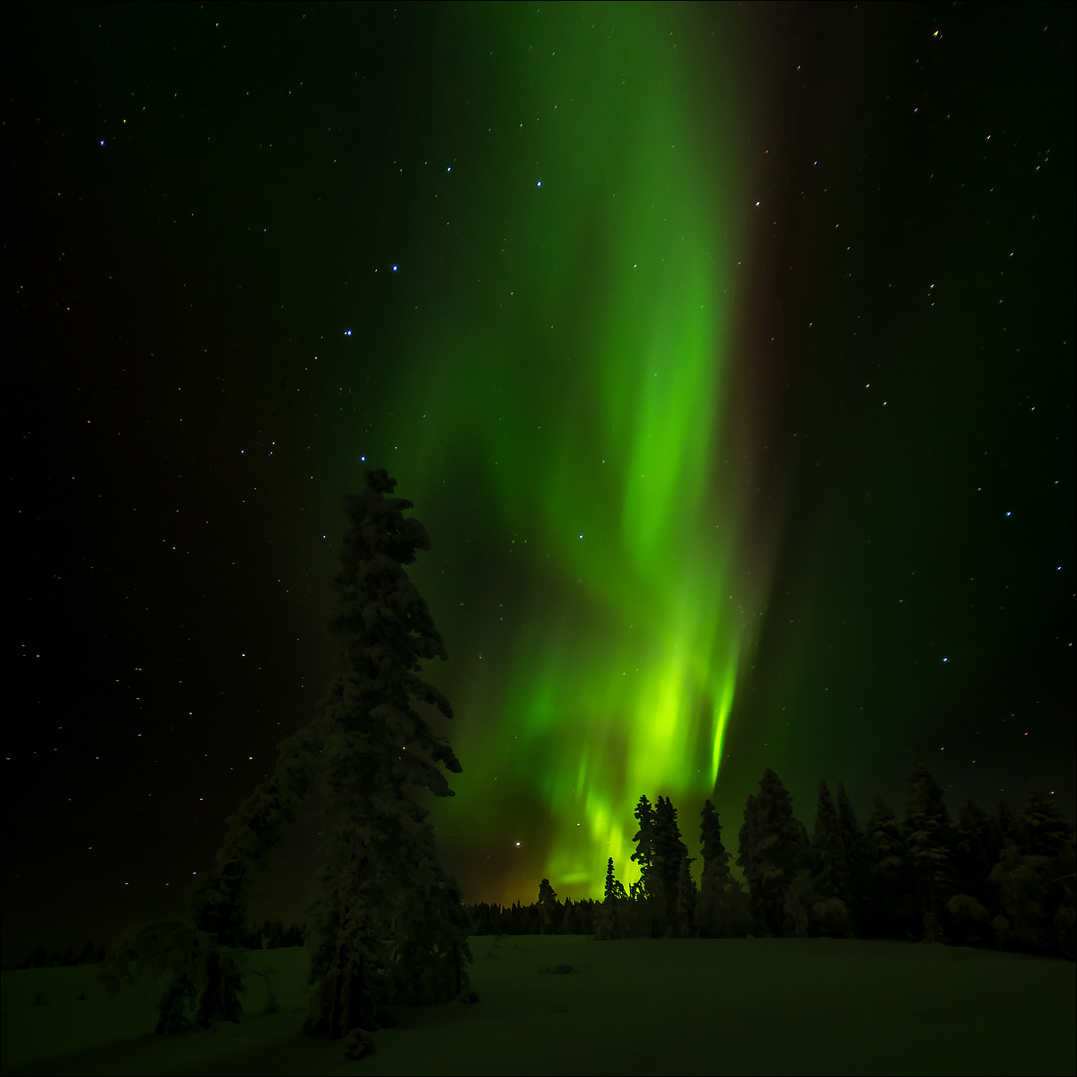 Color of the North
