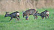 Familienzuwachs
