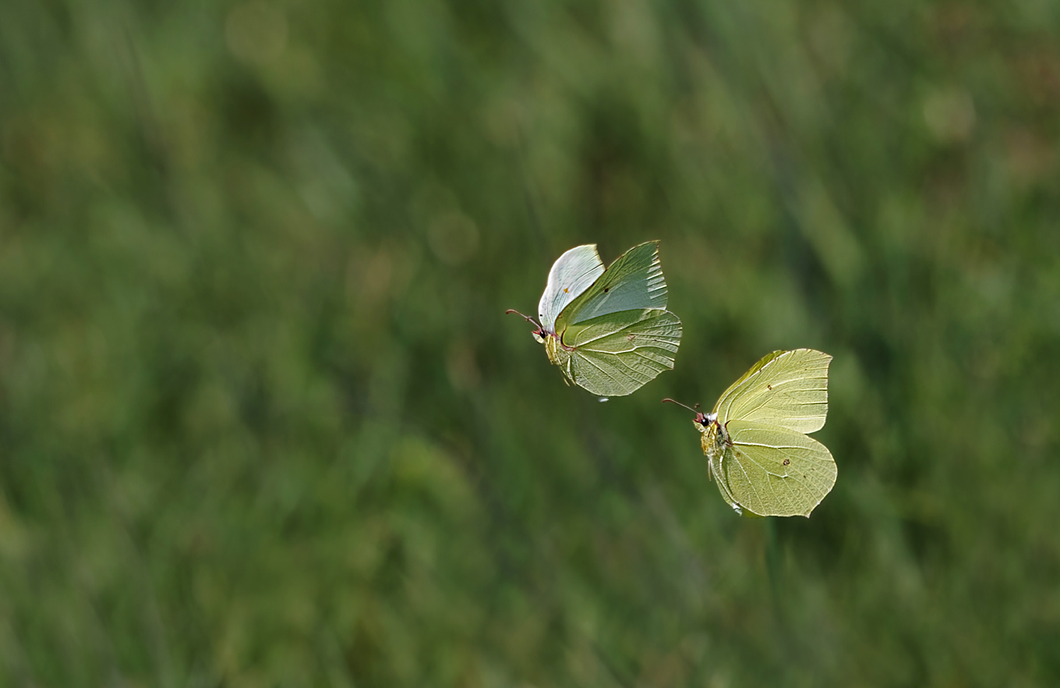 Wir fliegen zusammen.