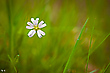 Frühling ...