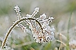 Kalter Morgen im April