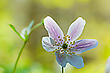Frühling