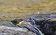 Am kleinen Wasserfall