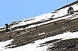 Bergfrühling III