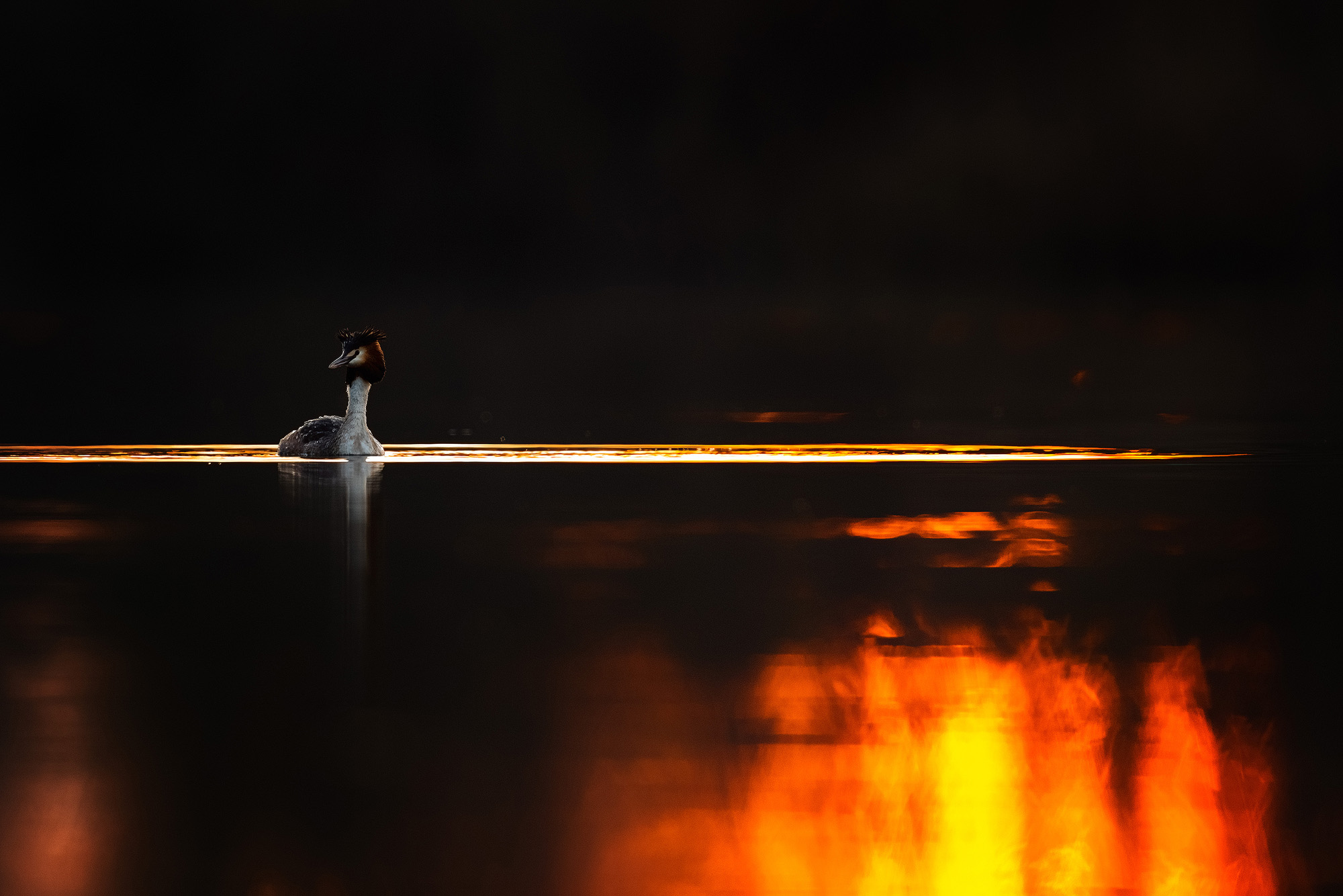Im letzten Licht