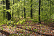 Der Frühling kommt