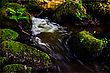 Am Otterbach