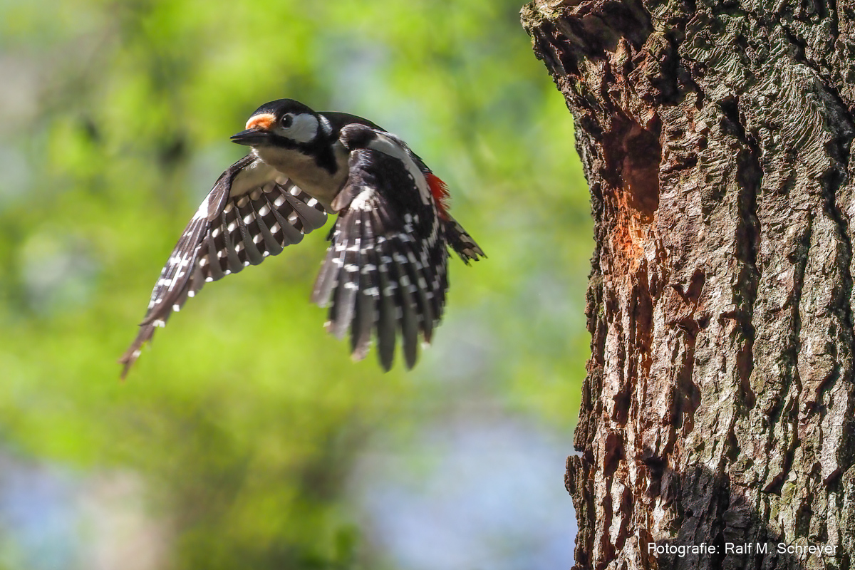 Abflug