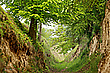 Durch diese hohle Gasse ...