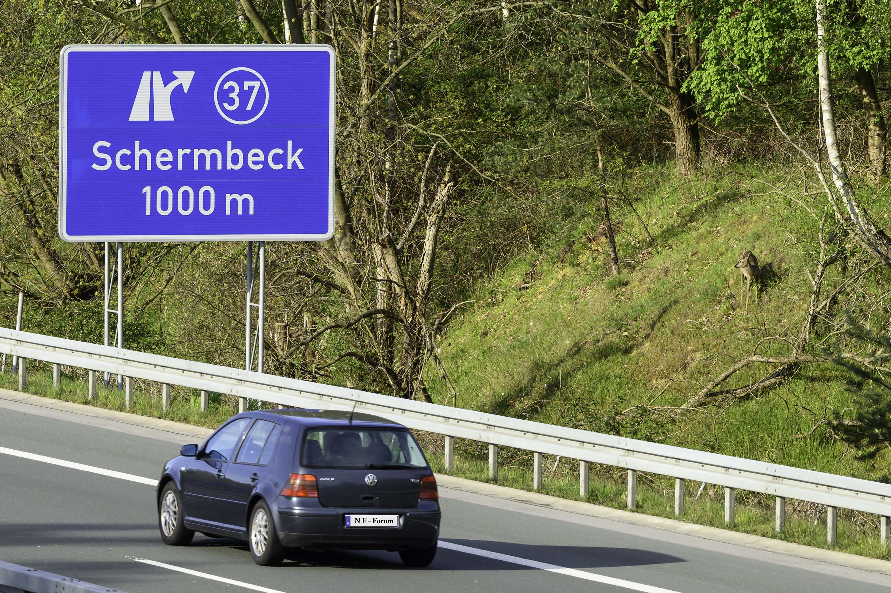Bitte verzichten Sie auf Ortsangaben...