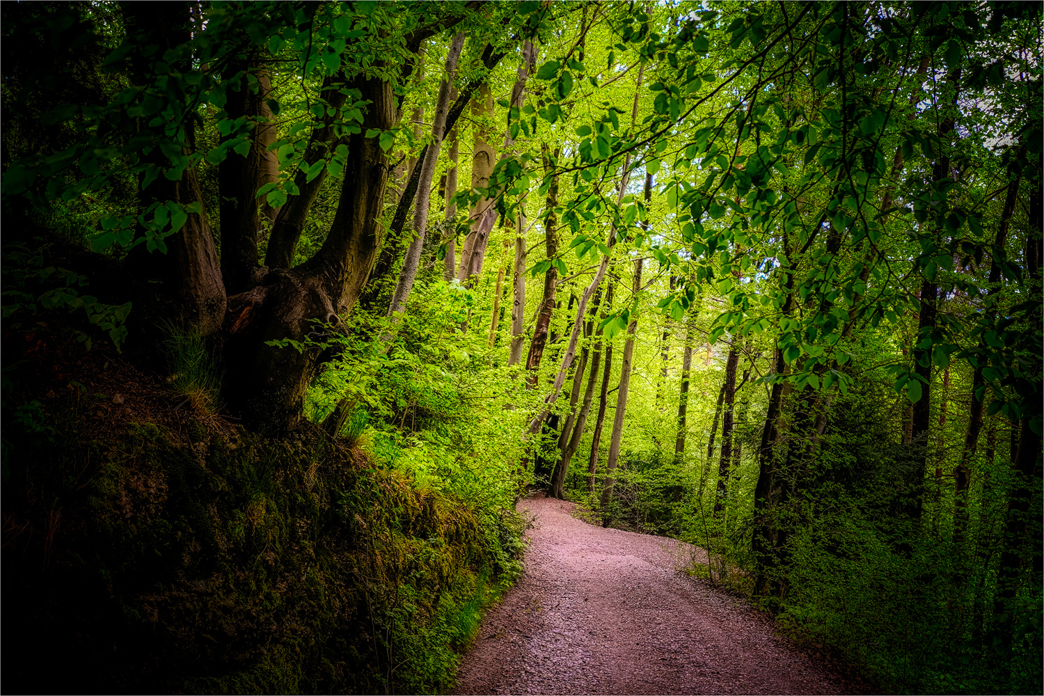 Zum Isarhochuferweg