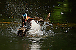 Wasserspaß