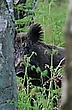 Ich hab dich im Blick!