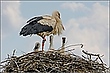 ... gute Aussicht ...